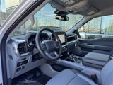 New 2025 Ford F150 Lariat w/ Equipment Group 501A Mid image 4