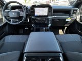 New 2025 Ford F150 STX w/ Equipment Group 200A image 5