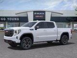 New 2025 GMC Sierra 1500 AT4 w/ AT4 Premium Package image 4