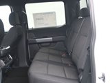 New 2025 Ford F150 XLT image 5