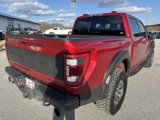 Used 2023 Ford F150 Raptor image 3