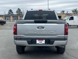 New 2025 Ford F150 STX w/ Equipment Group 200A image 4