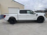New 2025 Ford F150 Platinum w/ Equipment Group 702A High image 3