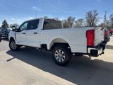 Used 2023 Ford F250 XLT image 4