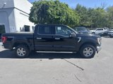 Used 2023 Ford F150 XLT w/ Equipment Group 302A High image 2