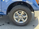 Used 2024 Ford F150 XLT image 4