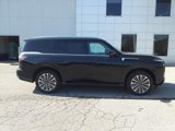 Used 2025 INFINITI QX80 Sensory image 2