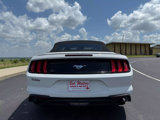 Used 2021 Ford Mustang Premium image 4