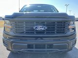 New 2025 Ford F150 XL image 3