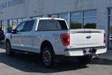 Used 2023 Ford F150 XLT w/ Equipment Group 302A High image 4