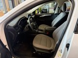 Used 2020 Ford Escape SE image 5