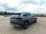 New 2025 Hyundai Tucson SEL image 5