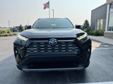 Used 2023 Toyota RAV4 Limited image 6