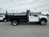 New 2025 Ford F550 4x4 Regular Cab Super Duty image 4