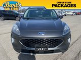Used 2020 Ford Escape Titanium image 2