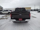 New 2024 Ford F150 XLT w/ Equipment Group 302A MID image 6