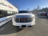 New 2025 GMC Sierra 1500 Denali w/ Denali Reserve Package image 3