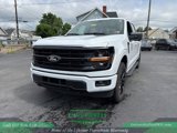 New 2025 Ford F150 XLT w/ Equipment Group 302A MID image 3