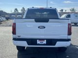 Used 2025 Ford F150 STX w/ Equipment Group 200A image 4