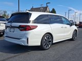 New 2025 Honda Odyssey Elite image 4