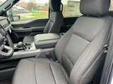 New 2025 Ford F150 XLT w/ Equipment Group 302A MID image 4