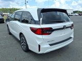New 2026 Honda Odyssey EX-L image 6