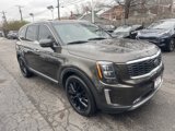 Used 2021 Kia Telluride SX w/ Towing Package image 3