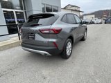 New 2025 Ford Escape Active w/ Tech Pack #1 image 3