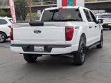 Used 2024 Ford F150 STX w/ STX Black Appearance Package image 5