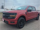 New 2025 Ford F150 XLT w/ Equipment Group 302A MID image 2