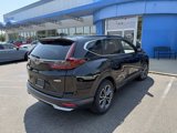 Certified 2022 Honda CR-V EX image 4