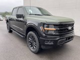New 2025 Ford F150 XLT w/ Equipment Group 302A MID image 3