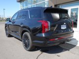 New 2025 Hyundai Palisade Calligraphy image 4