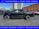 New 2025 Ford F150 STX w/ Equipment Group 201A FX4 image 2