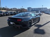 New 2025 Ford Mustang GT w/ Mustang Nite Pony Package image 4