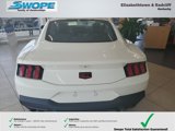 New 2025 Ford Mustang GT Premium w/ 60th Anniversary Package image 3