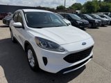 Used 2020 Ford Escape SE image 6