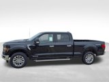 New 2025 Ford F150 XLT w/ Equipment Group 303A High image 2