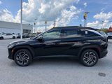 New 2025 Hyundai Tucson Limited image 4
