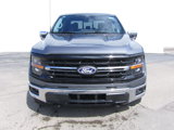 New 2025 Ford F150 XLT w/ Equipment Group 302A MID image 3