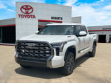 New 2025 Toyota Tundra Platinum image 3