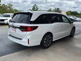 New 2025 Honda Odyssey Elite image 5