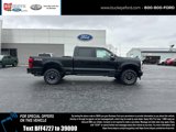 New 2025 Ford F250 Platinum image 3