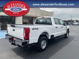 New 2025 Ford F250 XL image 4