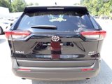 Certified 2025 Toyota RAV4 XLE image 5