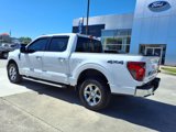 Used 2024 Ford F150 XLT w/ Equipment Group 302A MID image 3