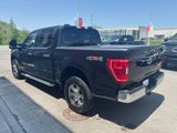 Used 2022 Ford F150 XLT w/ Equipment Group 302A High image 6
