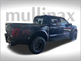 New 2025 Ford F150 Raptor w/ Equipment Group 803A Raptor R image 3