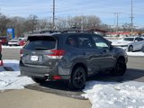 Used 2024 Subaru Forester Wilderness image 6