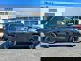 New 2025 Hyundai Palisade Calligraphy image 2